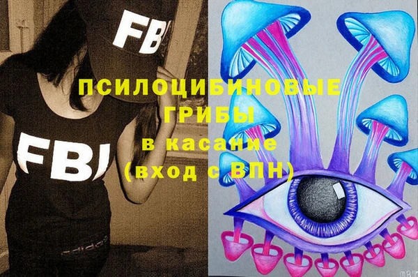 спиды Кукмор