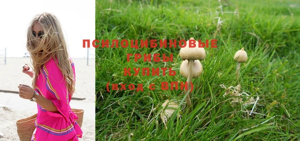 гидропоника Куйбышев