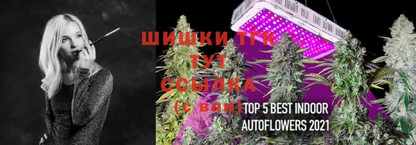 гидропоника Куйбышев