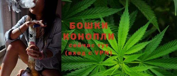спиды Кукмор
