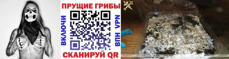 блэк спрут рабочий сайт Таштагол Галлюциногенные грибы GOLDEN TEACHER